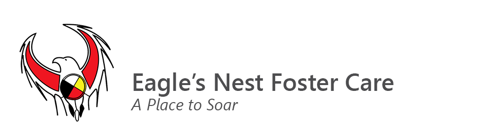 Eagles Nest: A Place to Soar Inc. Treatment Foster Care